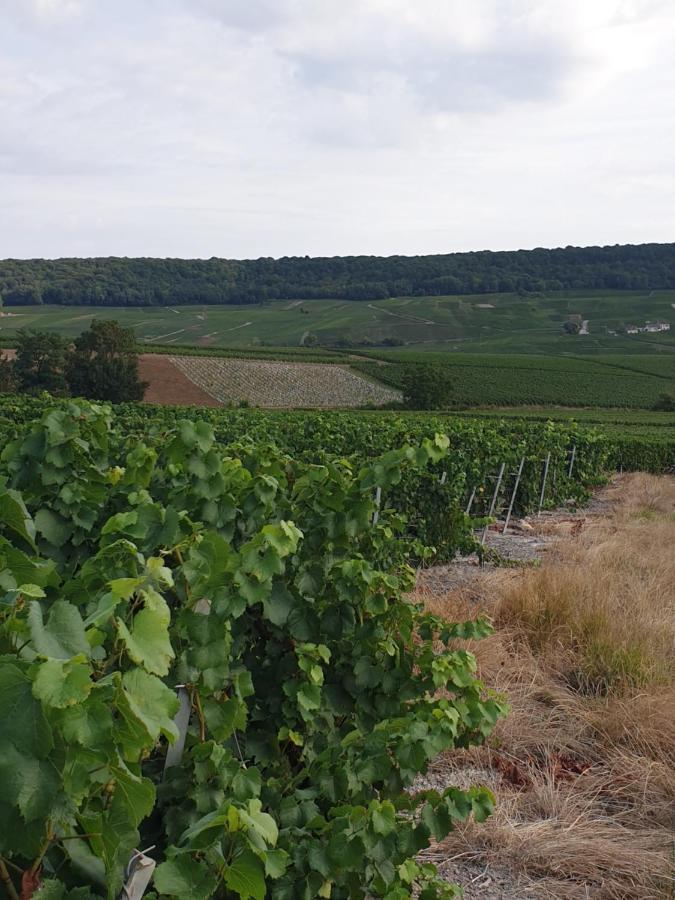 Apartmán La Longere De Vin'Ay Vinay  Exteriér fotografie